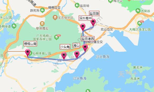 深圳地铁8号线是深圳最近才开通的地铁线路,据2021深圳地铁8号线路