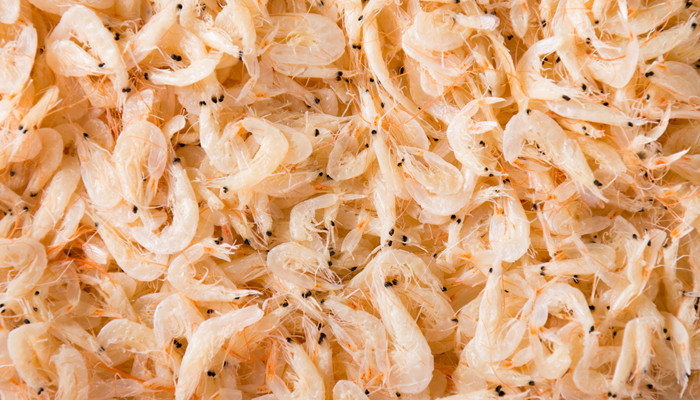 什么叫虾皮 什么是虾皮