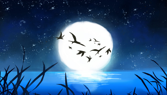 黑色的鸟有哪几种 黑色的鸟有哪些