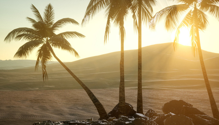 也门是哪个国家 也门是什么国家