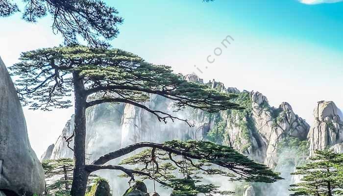 黄山的山有哪三大特点 黄山的山的特点有哪三个