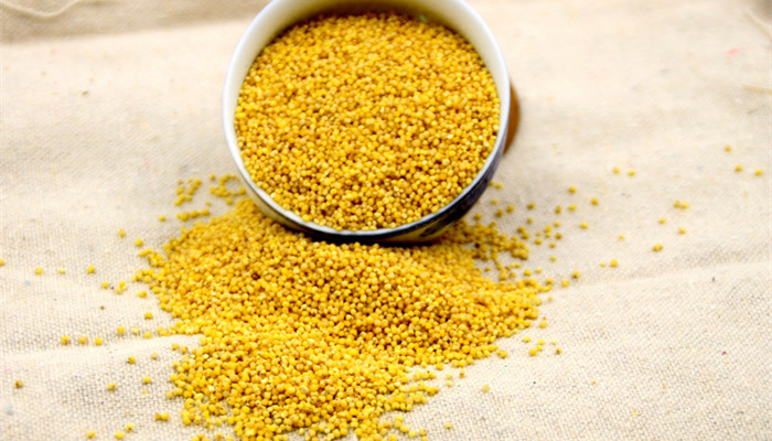 糜子是什么 什么是糜子