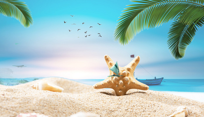 海星吃什么 海星吃什么食物长大 