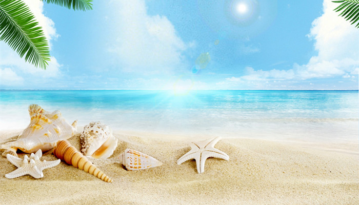 海星吃什么 海星吃什么食物长大 