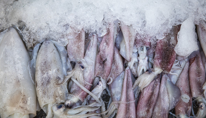 鱿鱼怎么泡发 鱿鱼该怎么泡发