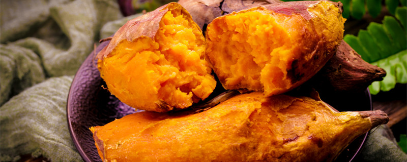 白薯是什么 白薯是什么东西