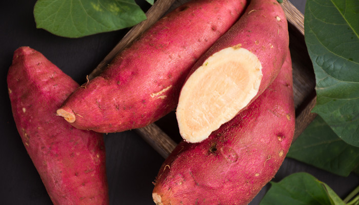 白薯是什么 白薯是什么东西