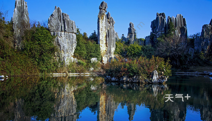 该区岩石突露,奇峰林立,常见的地表喀斯特地貌有石芽,石林,峰林