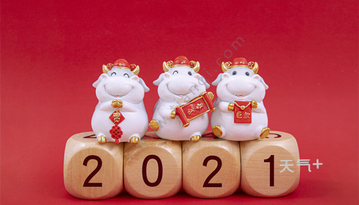 2021是什么年 2021属什么