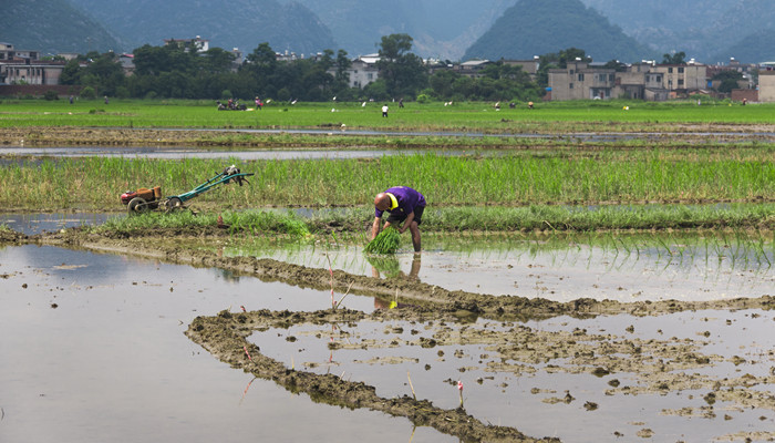 耕地的承包期为多少年 我国耕地的承包期为多少年