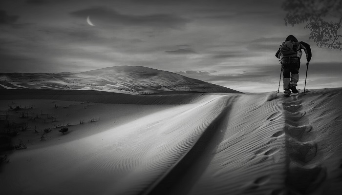 土地沙漠化的防治 土地沙漠化的防治措施