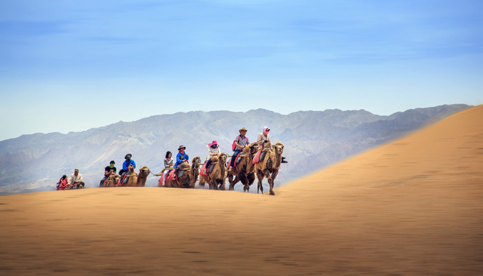 沙漠里有什么 沙漠里有什么动物