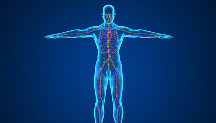 扇子骨是哪个部位 扇子骨是什么肉