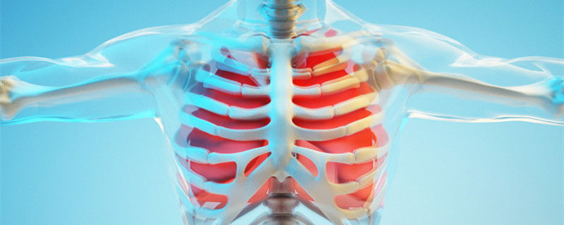 扇子骨是哪个部位 扇子骨是什么肉