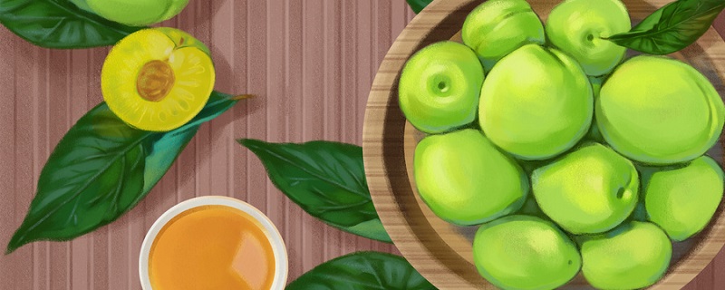 梅子和杏子的区别 梅子和杏子的区别是什么