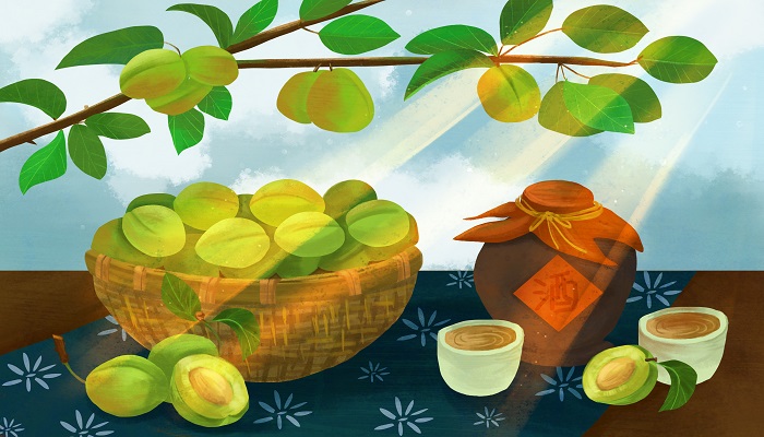 梅子和杏子的区别 梅子和杏子的区别是什么