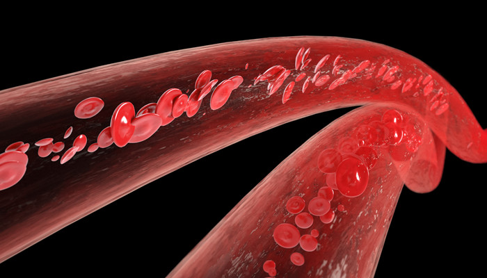 为什么血能在人体中流动 血液为什么什么会在身体中流动