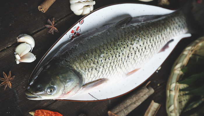 白鲢和花鲢的区别 白鲢和花鲢的区别是什么