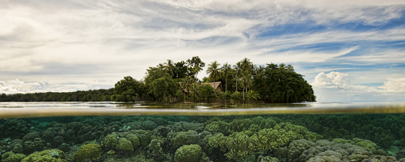 亚热带季风气候特征 亚热带季风气候特征是什么