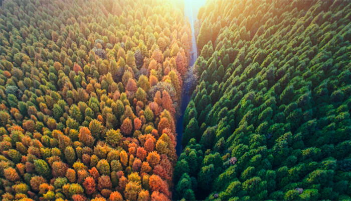 亚热带季风气候特征 亚热带季风气候特征是什么