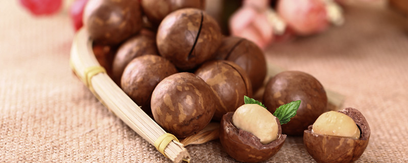 橡子与榛子的区别 榛子和橡子是不是同一种东西