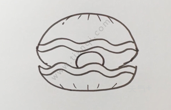 贝壳怎么画儿童画 简单漂亮的贝壳怎么画