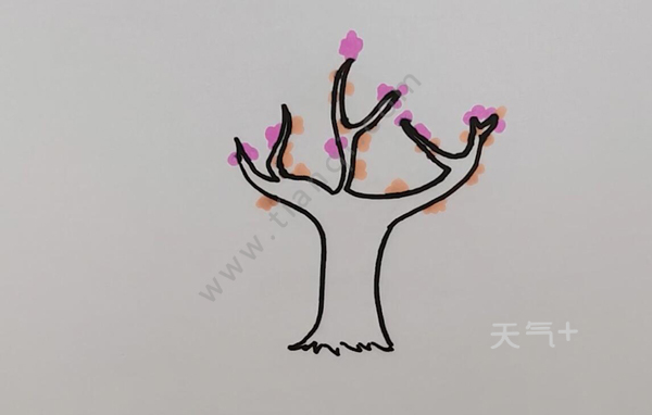 樱花树怎么画简笔画 水彩樱花树简笔画