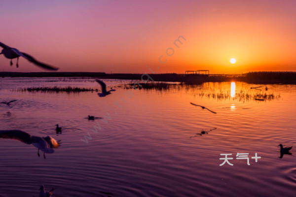 太阳有多大面积 太阳有多热