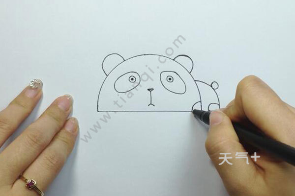 熊猫怎么画 熊猫的简笔画画法
