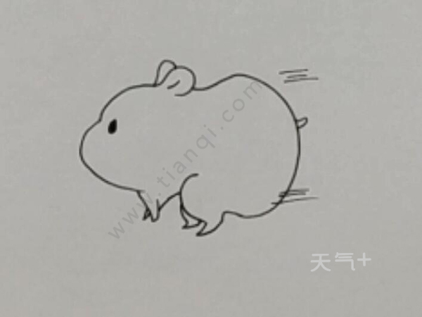 3,最后给仓鼠画上眼睛就行了.