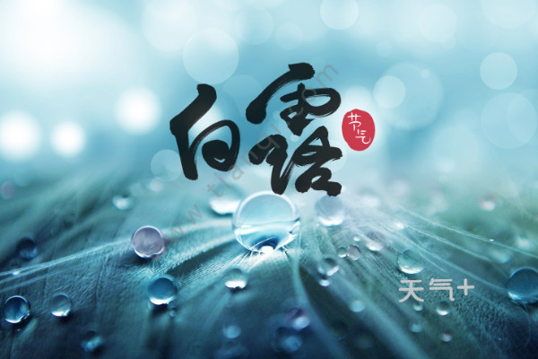 白露时节是什么时候白露节气干什么事情
