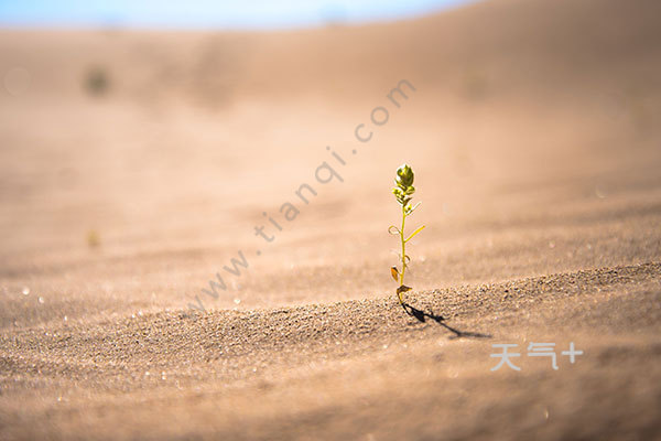 中国最大的沙漠是什么 中国最大的沙漠