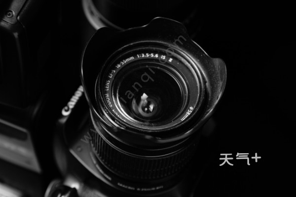 野生动物摄影获奖作品 国际摄影大赛奖金一般有多少