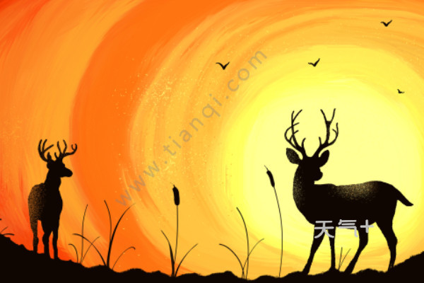 野生动物摄影获奖作品 国际摄影大赛奖金一般有多少