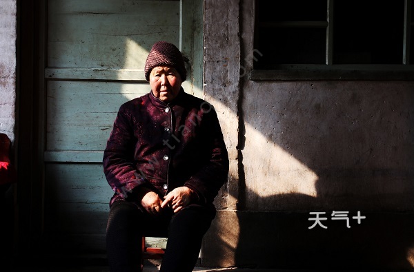 古体诗游子吟的作者是 游子吟全诗表达了什么