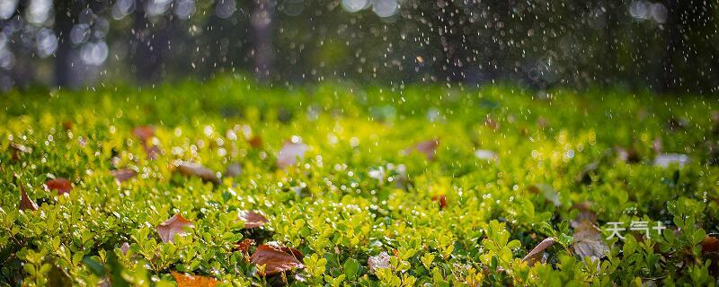 秋天的雨描写了哪些特点 秋天的雨有哪三种特点