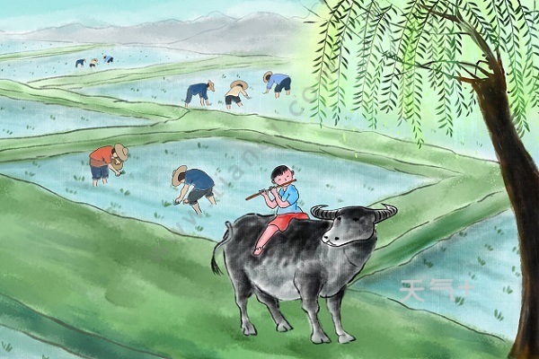 《村晚》通过对优美景色和生动活泼的牧童的描写,描绘出了一幅