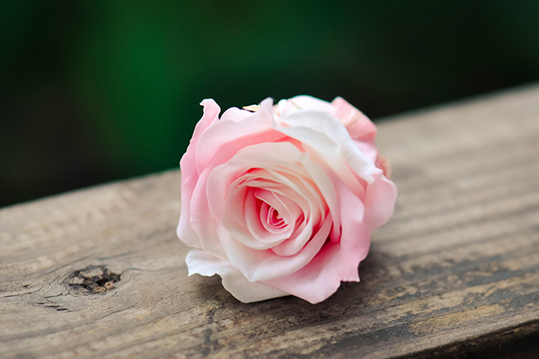 qq情侣空间怎么改相恋日期 情侣空间可以更改恋爱日期吗