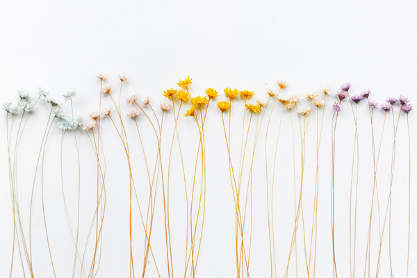 全民k歌背景图片怎么设置 设置全民k歌背景墙的步骤