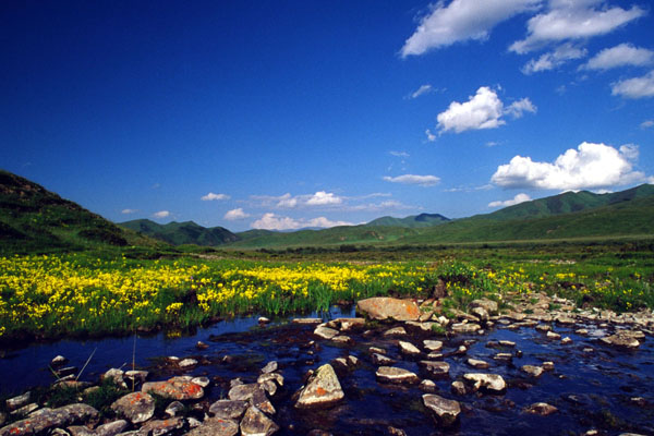 甘南桑科草原攻略 桑科草原旅游攻略