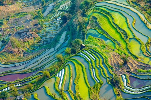 去云南自由行还是跟团 去云南跟团好还是自助游好