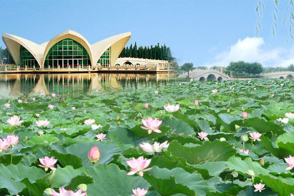 三水荷花世界好玩吗 三水荷花世界什么时候去最好