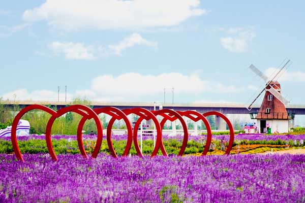 哪里有薰衣草花海 中国哪里有薰衣草花海