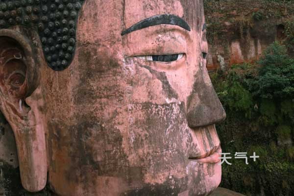 樂山大佛有多高 樂山大佛高度多少米