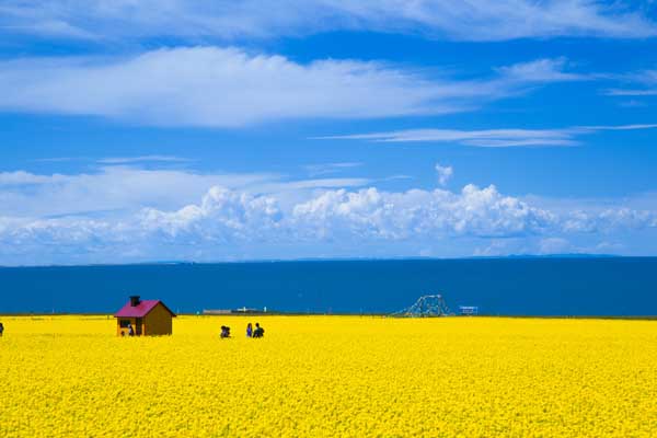现在这个季节适合去哪旅游 这个季节适合去哪旅游