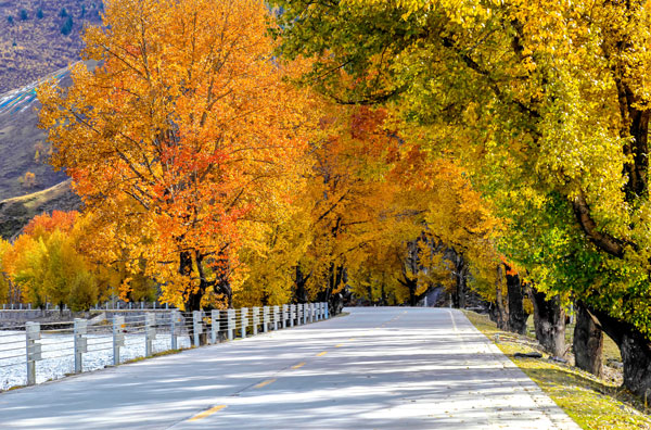 康定到新都桥多少公里 康定到新都桥需要多久