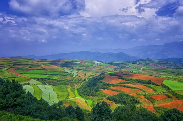 中欧体育去云南旅游要多少钱 云南旅游注意事项(图3)