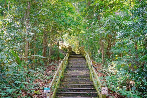 雪乡夏天可以去吗 雪乡夏天有什么玩的