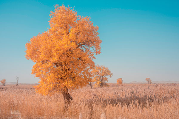 9月国内旅游好去处 九月份适合去哪里旅游