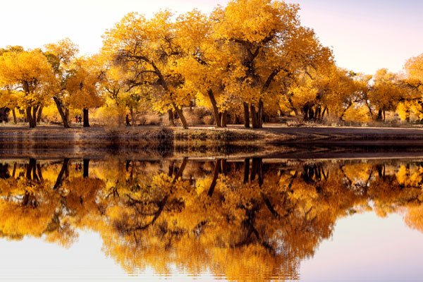 额济纳旅游最佳时间 额济纳胡杨林几月最美